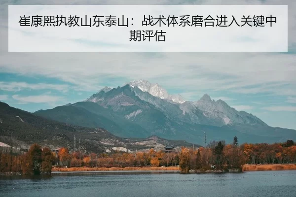 cui-kang-xi-zhi-jiao-shan-dong-tai-shan-zhan-shu-ti-xi-mo-he-jin-ru-guan-jian-zhong-qi-ping-gu-3-222.jpg
