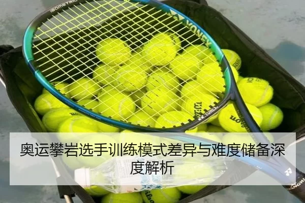 奥运攀岩选手训练模式差异与难度储备深度解析