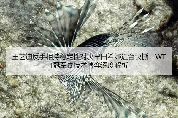 wang-yi-di-fan-shou-xiang-chi-wen-ding-xing-dui-jue-zao-tian-xi-na-jin-tai-kuai-si-guan-jun-sai-ji-shu-bo-yi-shen-du-3-736.jpg