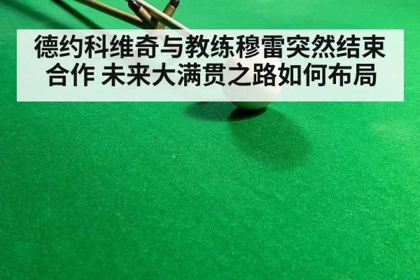 德约科维奇与教练穆雷突然结束合作 未来大满贯之路如何布局