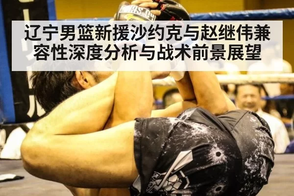 辽宁男篮新援沙约克与赵继伟兼容性深度分析与战术前景展望