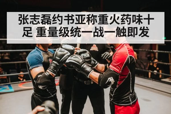 张志磊约书亚称重火药味十足 重量级统一战一触即发